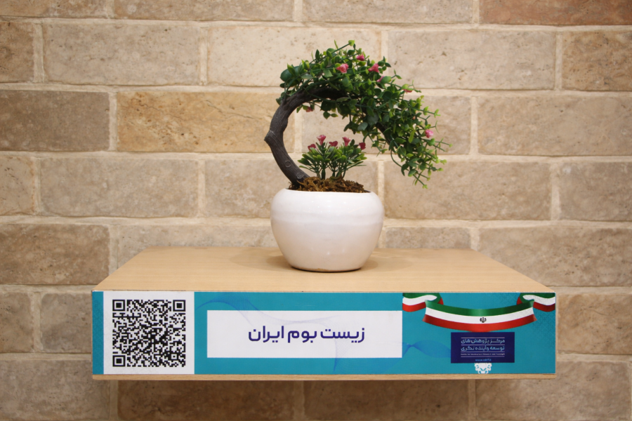 مولفه های توسعه ایران
